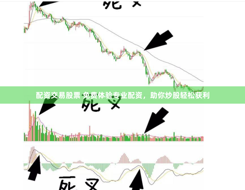 配资交易股票 免费体验专业配资，助你炒股轻松获利